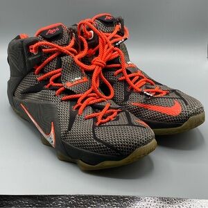 NIKE LEBRON JAMES COURT VISION XII 12